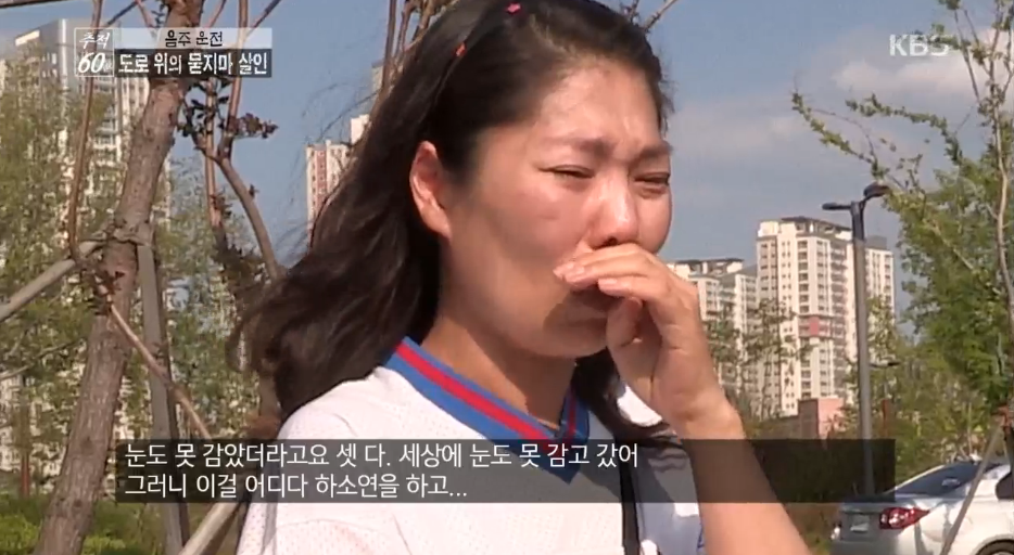 음주운전이 혐오스로운 이유 (Feat. 추적60분) 와이파이권장 | 인스티즈