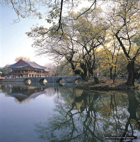 한국판 해리포터 대한요고학원(大韓妖蠱學院) 세계관 및 가상캐스팅 | 인스티즈