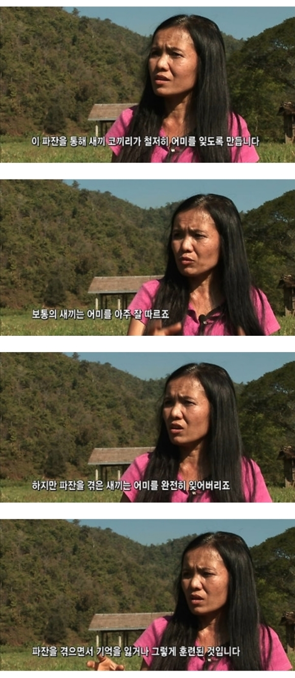 그림그리는 천재 코끼리.gif | 인스티즈