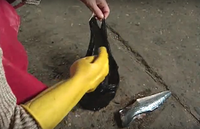 TV로 보는 원작동화 [꼬마독재자] 01 | 인스티즈