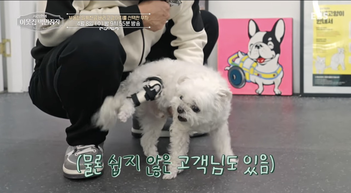 부동산 일확천금 버리고 강아지를 선택한 부자 | 인스티즈