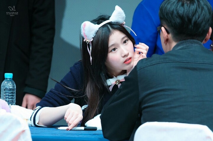 [트와이스] 사슴같은 사나의 눈 | 인스티즈