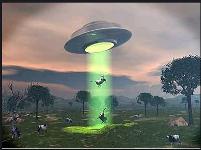 각종동물들 시선으로 바라본 인간의모습 | 인스티즈