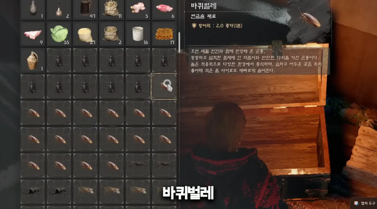 붉은사막 새 직업 '벌레술사' 등장 | 인스티즈