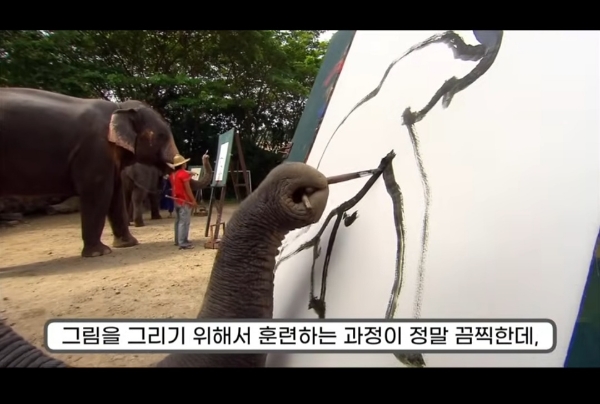 그림그리는 천재 코끼리.gif | 인스티즈