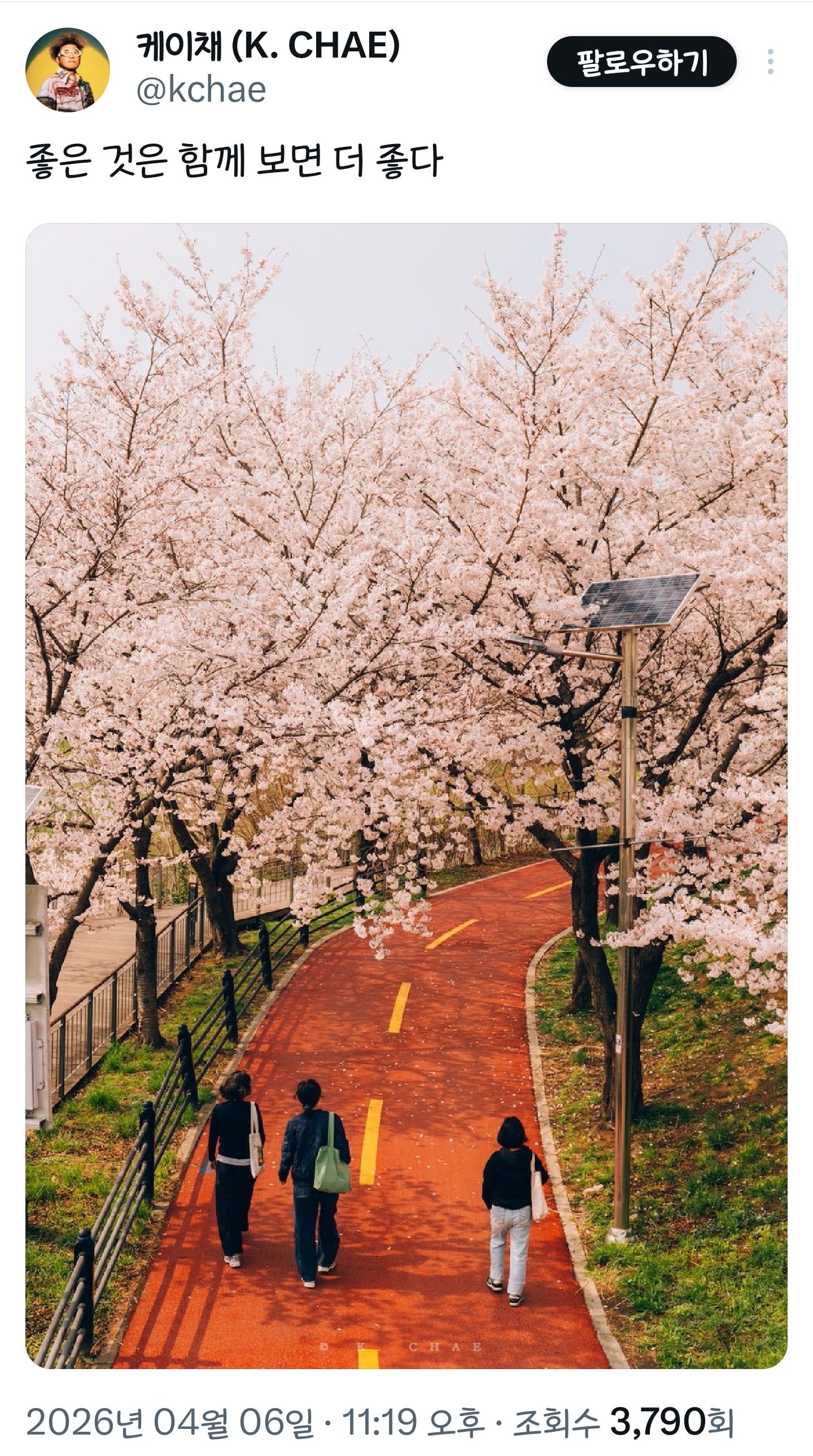 봄이니까☺️ 올려보는 X(트위터) 모음🌸 | 인스티즈