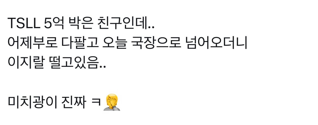 테슬라 2배 레버리지 매도하고 국장 넘어온 사람의 카톡 상태 | 인스티즈