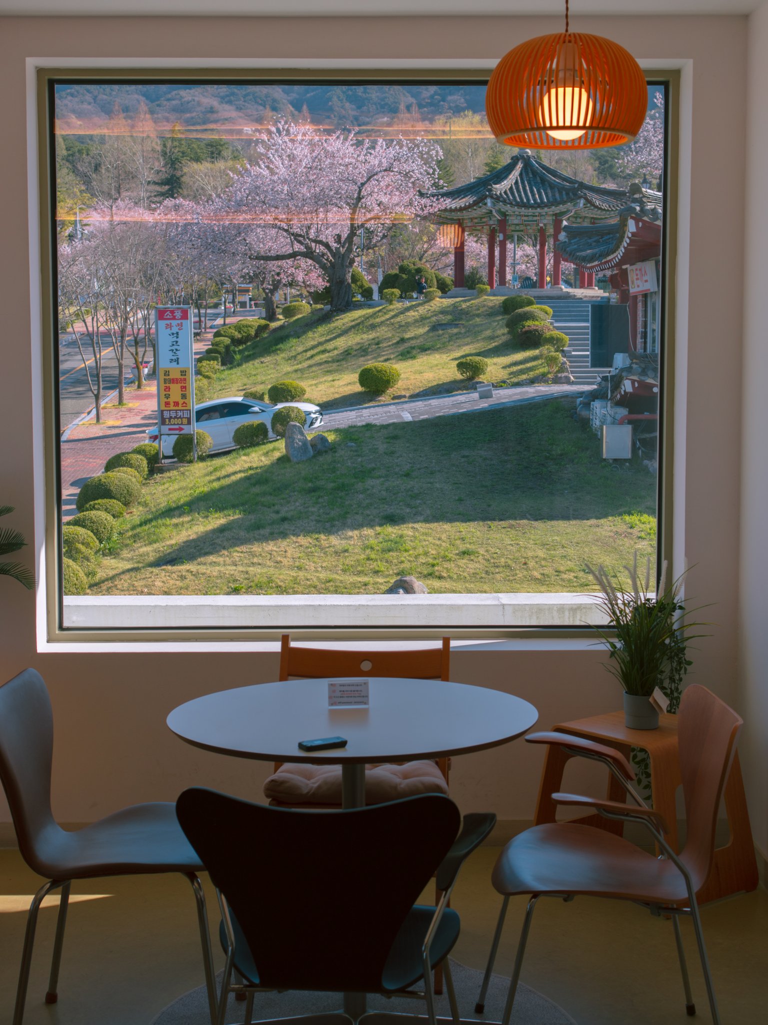 봄이니까☺️ 올려보는 X(트위터) 모음🌸 | 인스티즈