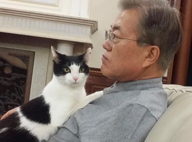 달님바라기 찡찡이가 삐지면.jpg | 인스티즈