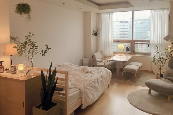 원룸러들은 어떻게 방을 꾸밀까? 원룸 방꾸미기 구경하기 🛋️🔍 | 인스티즈