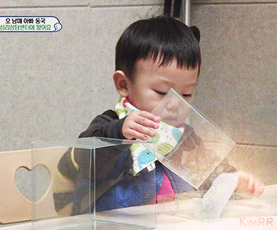 바나나 까달라고 쳐다보는 대박이.gif | 인스티즈