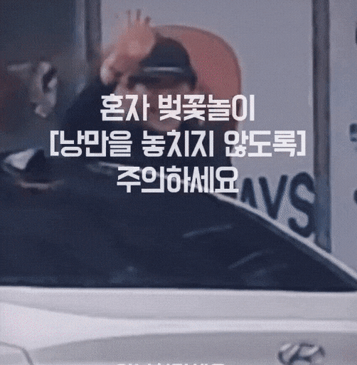 혼자 벚꽃놀이 주의하세요 | 인스티즈