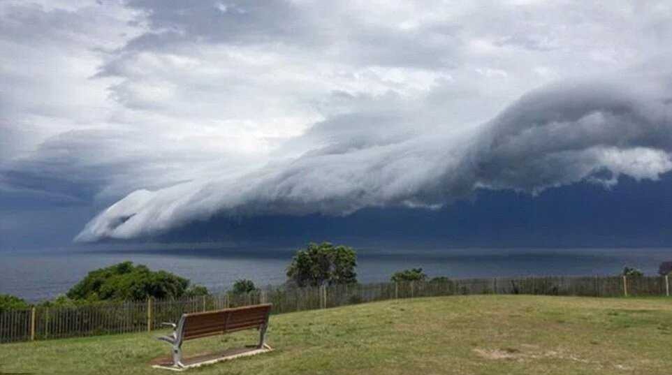 대자연 | 인스티즈