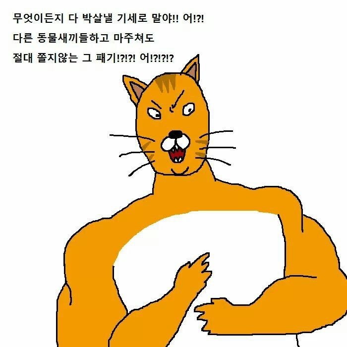 상남자 고양이가 아들 교육하는 만화 | 인스티즈
