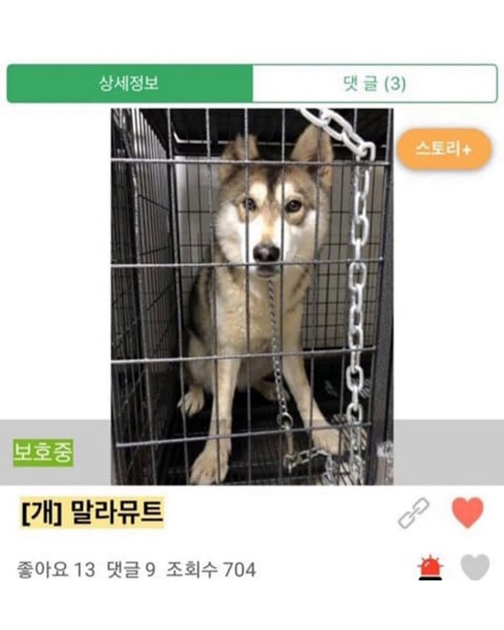 댕댕이 입양전후 | 인스티즈