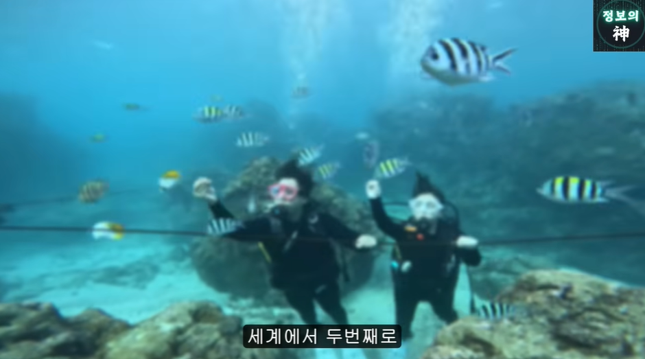 여수섬박람회가 잼버리 냄새 나는 이유 | 인스티즈