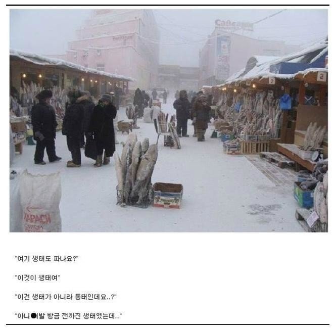 흔한 러시아의 수산시장 대화.jpg | 인스티즈