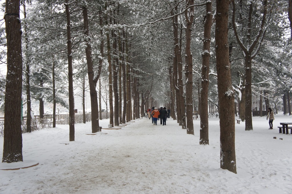 외국인친구에게 추천하고싶은여행지는어디 | 인스티즈