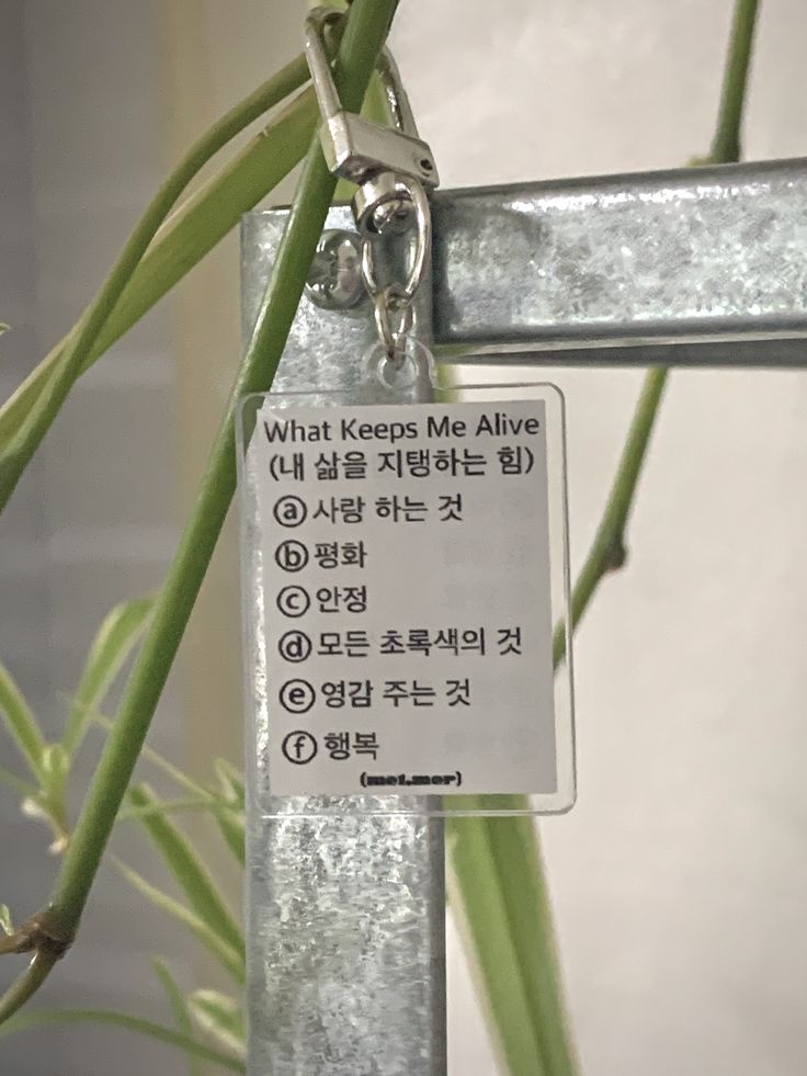 낭만이 왔나 봄 | 인스티즈