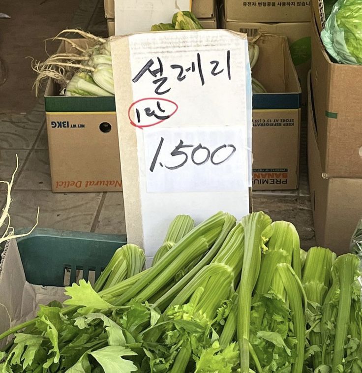 낭만이 왔나 봄 | 인스티즈