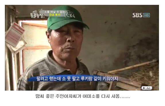 서럽게 우는 강아지 ㅠㅠ | 인스티즈