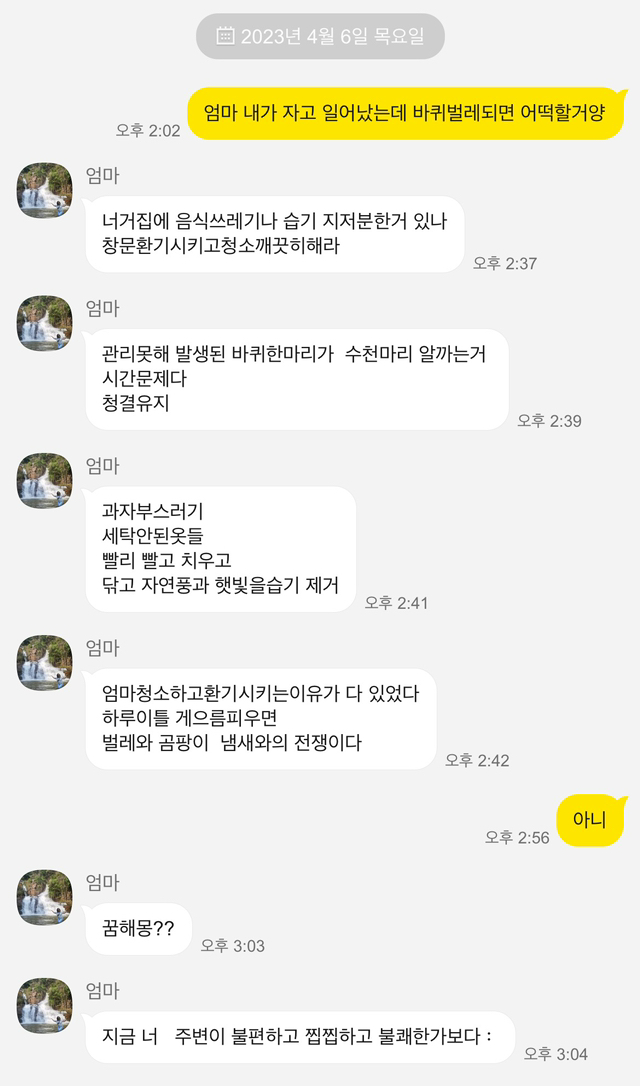 소소한 여캡 | 인스티즈