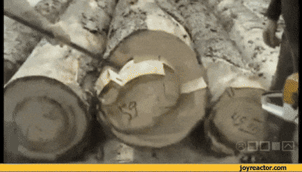 역대급 뇌물ㄷㄷㄷ.gif | 인스티즈