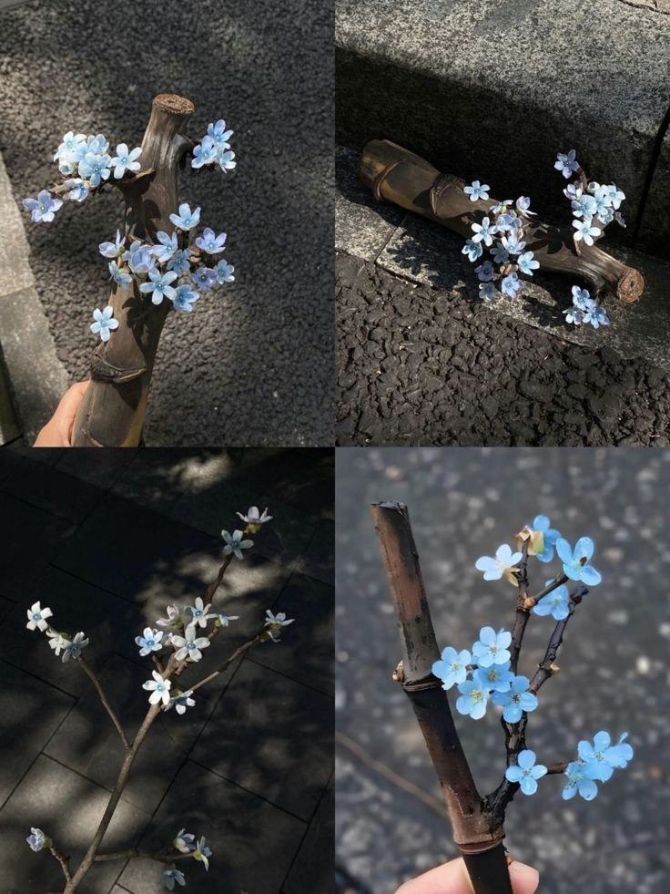 봄이니까☺️ 올려보는 X(트위터) 모음🌸 | 인스티즈