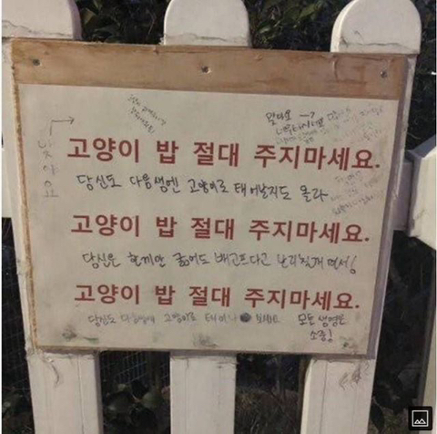 우리나라 사람들 개재밌는것 같은 아파트 밈 | 인스티즈