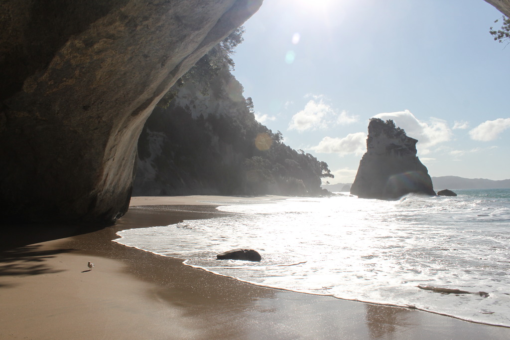 뉴질랜드 여행 - 코로만델 Cathedral Cove (나니아 연대기 촬영지) | 인스티즈