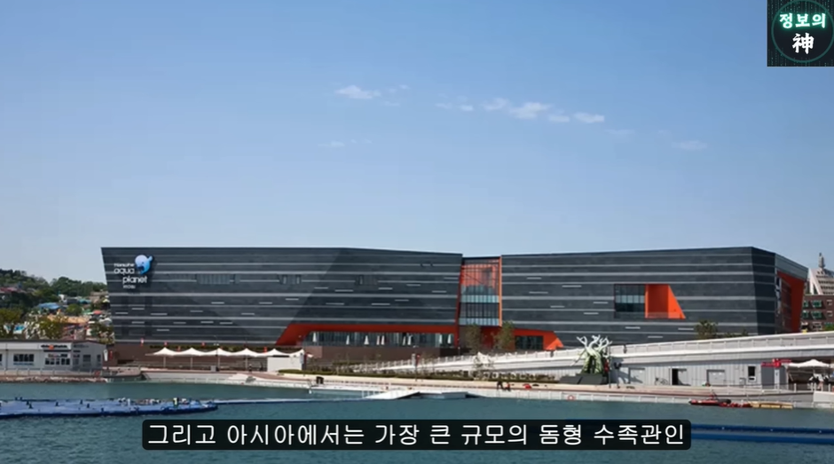 여수섬박람회가 잼버리 냄새 나는 이유 | 인스티즈