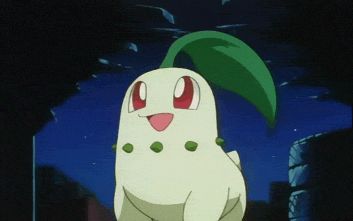 [포켓몬스터] 피카츄를 질투하는 치코리타.gif (이유가 어이없음) | 인스티즈