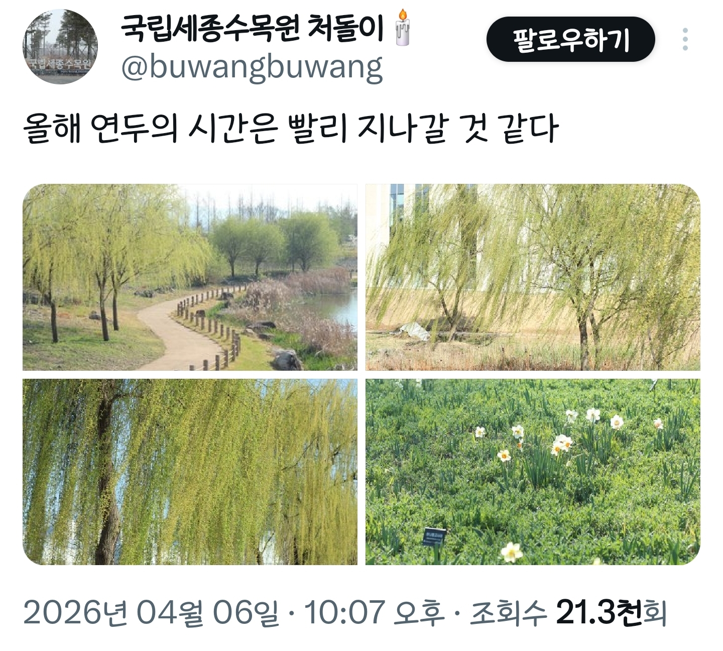 봄이니까☺️ 올려보는 X(트위터) 모음🌸 | 인스티즈
