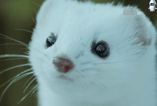 김세정..다 가진 여자.jpg | 인스티즈