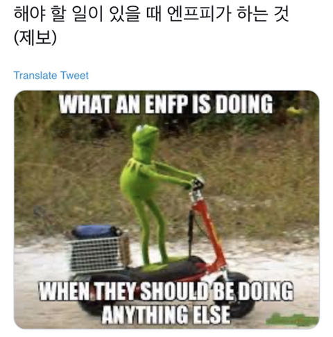 ENFP 짤 모음 (feat. mbti) | 인스티즈