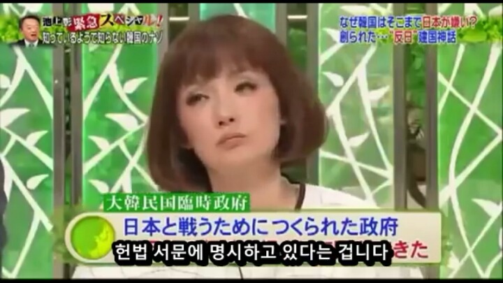 대한민국 임시정부를 부정하는 무리들의 주장 | 인스티즈