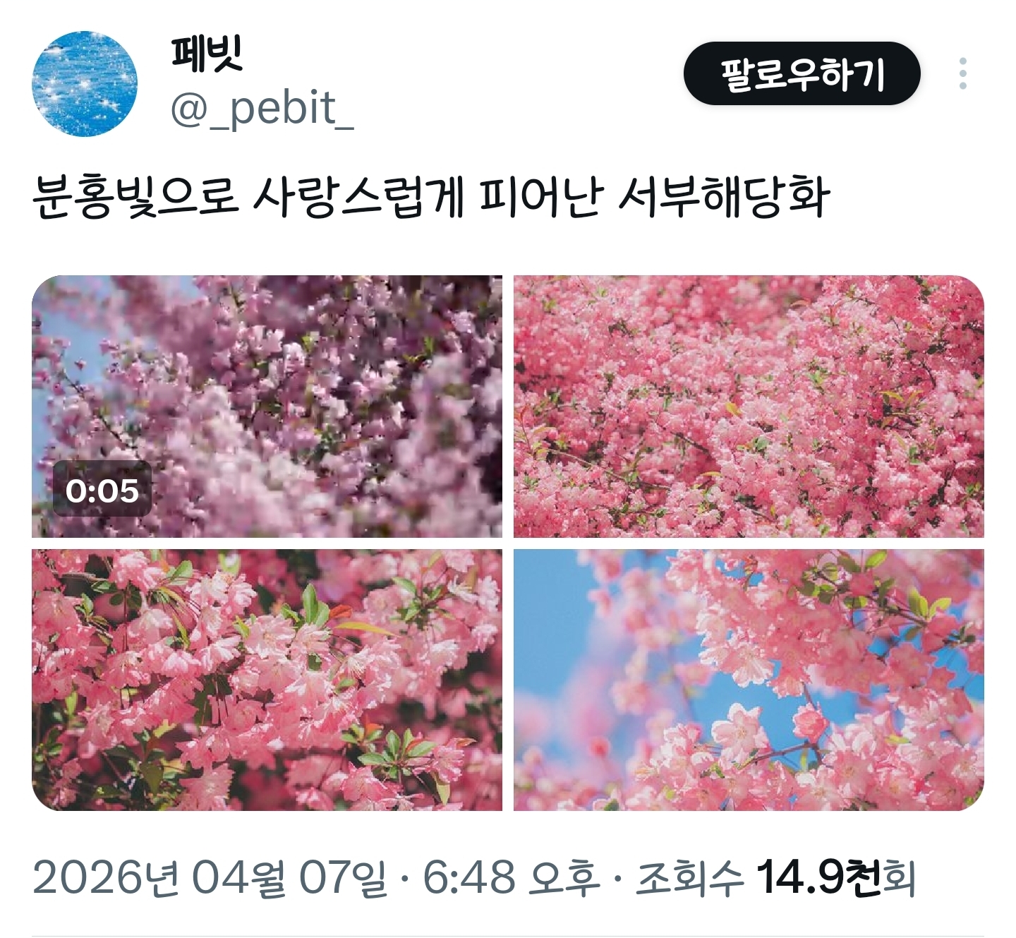 봄이니까☺️ 올려보는 X(트위터) 모음🌸 | 인스티즈