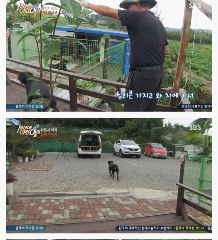 신기한 강아지 | 인스티즈