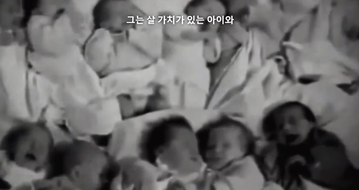 [우영우] 자폐를 최초로 연구한 사람 중에 하나인 한스 아스퍼거는 나치 부역자였습니다 | 인스티즈