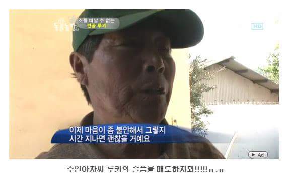 서럽게 우는 강아지 ㅠㅠ | 인스티즈