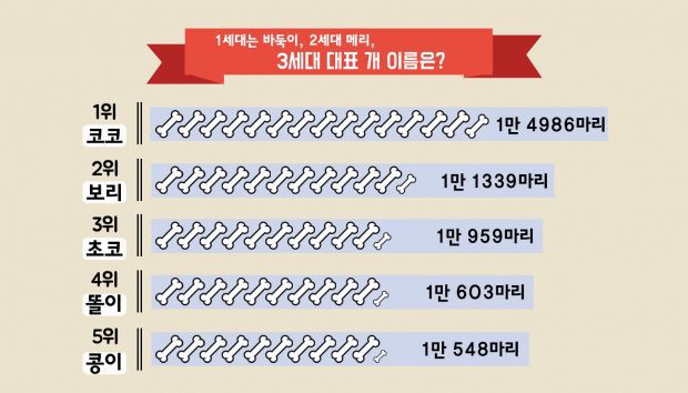 여러분 강아지는 이름이 뭐에요? | 인스티즈