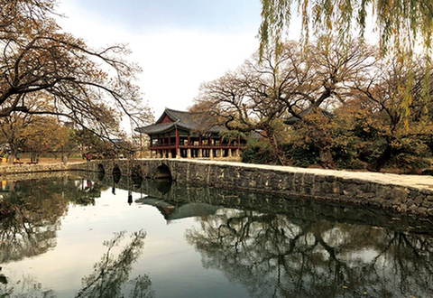 한국판 해리포터 대한요고학원(大韓妖蠱學院) 세계관 및 가상캐스팅 | 인스티즈