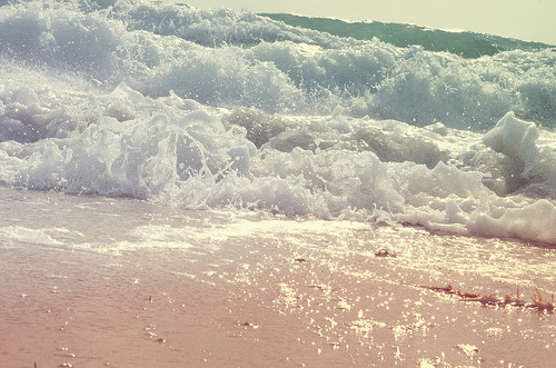 지친 당신을 위로해주는 사진.jpg | 인스티즈