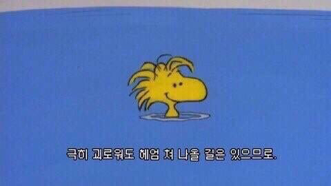 모의고사 망친 게 뭐라고 죽어 사랑스런 베이비.twt | 인스티즈