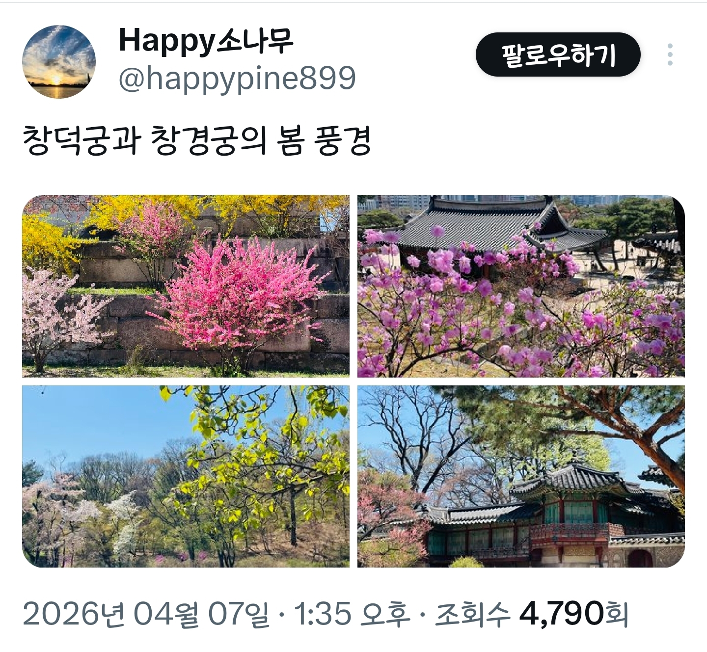 봄이니까☺️ 올려보는 X(트위터) 모음🌸 | 인스티즈