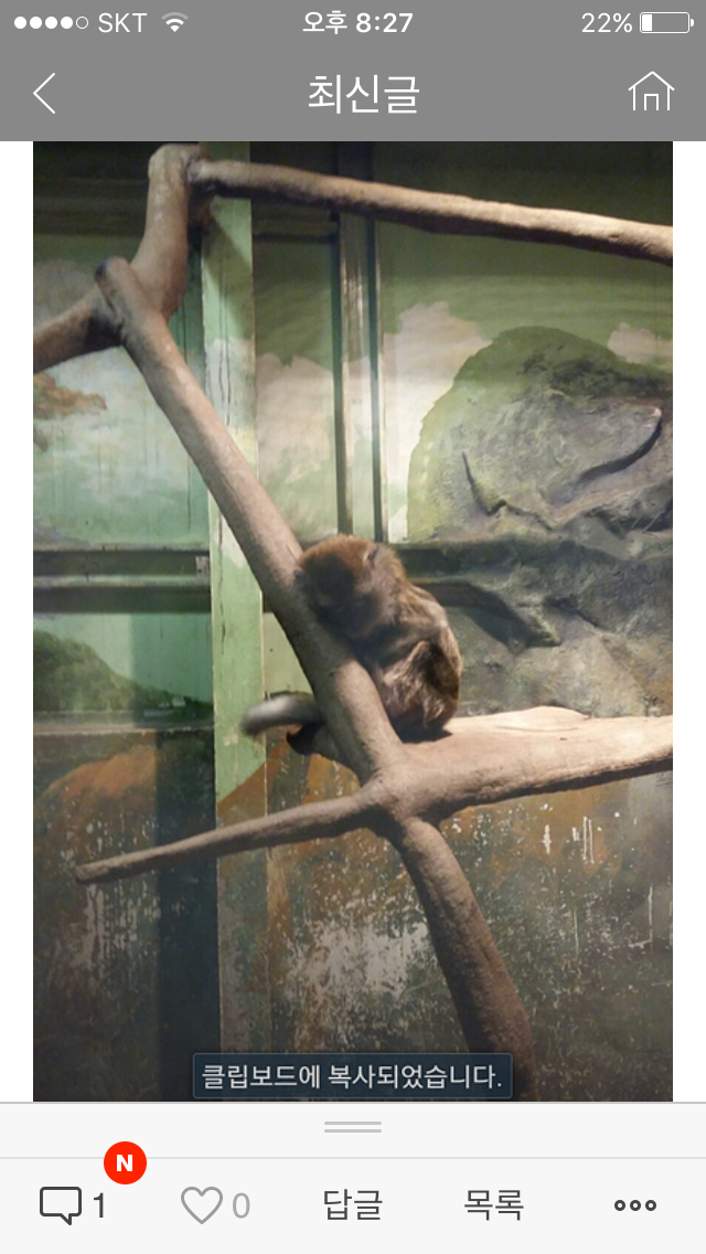 동물농장 삼순이 보고오신분이 제보하신 오늘자 사진.... | 인스티즈