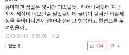 대전동물원의 퓨마 호롱이가 느꼈을 마지막 날 | 인스티즈