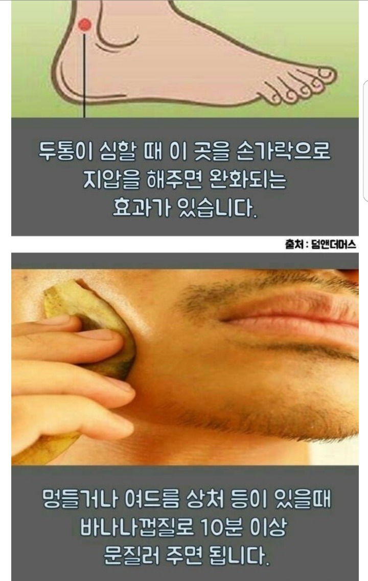 일반인도 쉽게 이해할 수 있는 기본적으로 알아야할 의학 상식&amp;꿀팁 | 인스티즈