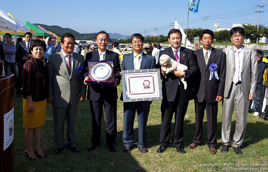재수없게생겼다고 일본이 대량 학살한 우리나라 토종개 동경이(댕견) | 인스티즈