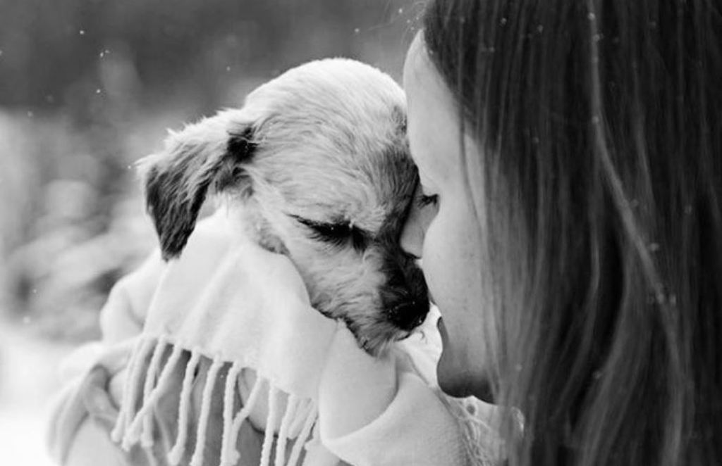 반려동물을 키우는 나에게 신께서 찾아오셨다 | 인스티즈